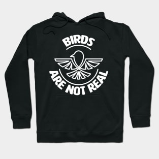 Birds Are Not Real. Conspiracy Theory. Bird Spies. Hoodie